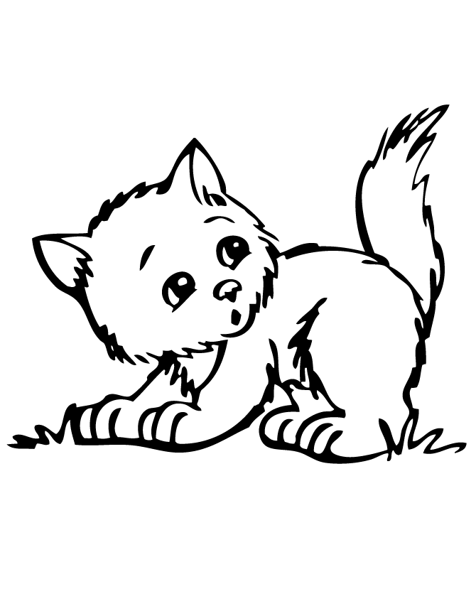 Cute Kitten Coloring Pages Printable 7