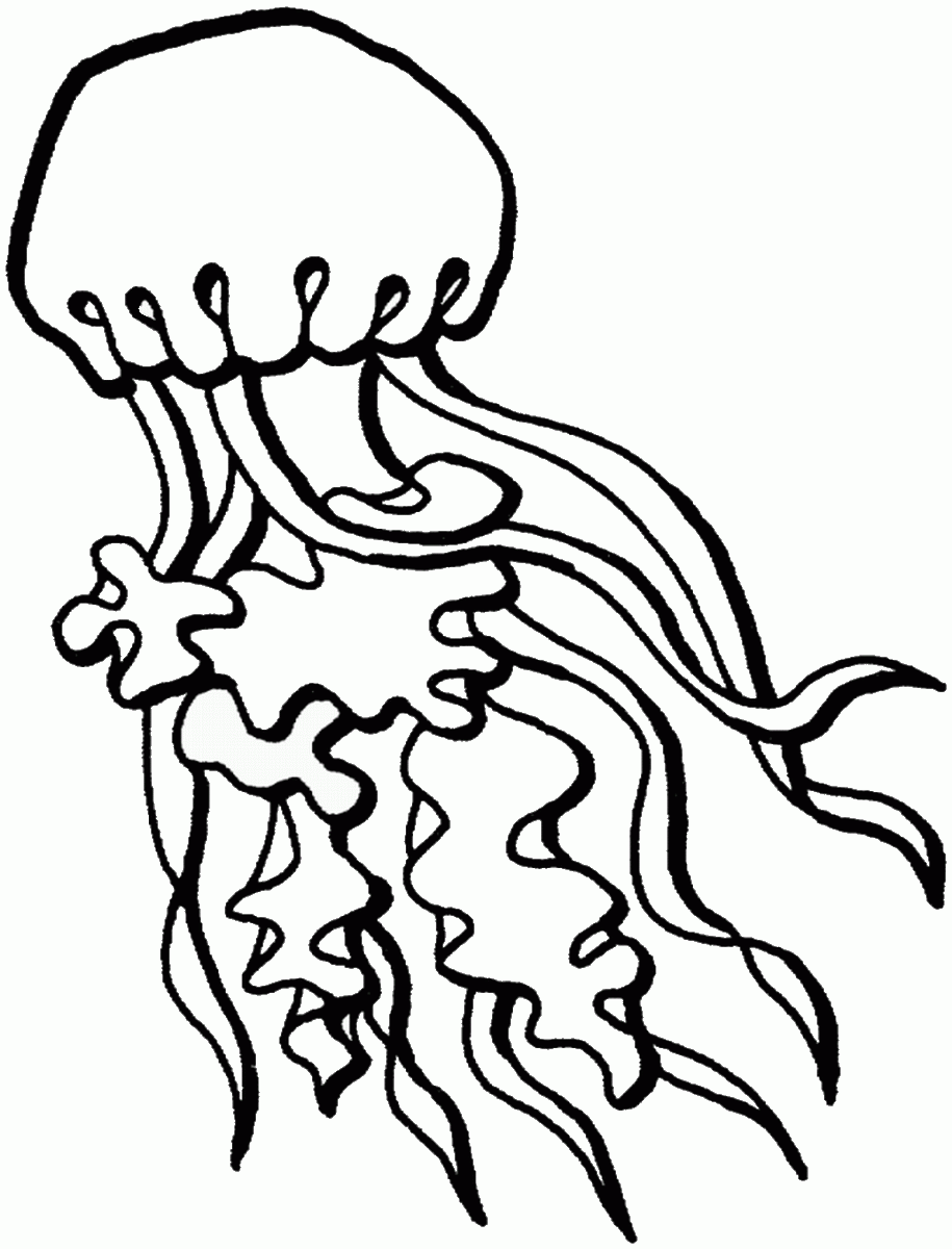 Graceful Jellyfish Coloring Pages Printable 10