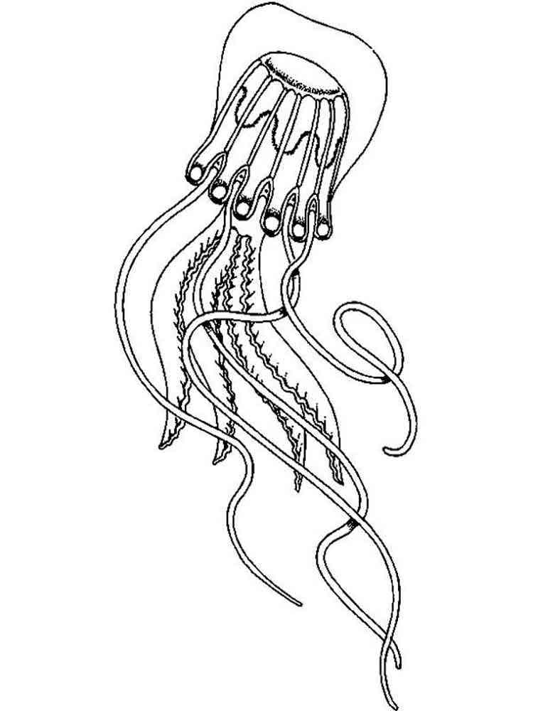 Graceful Jellyfish Coloring Pages Printable 15