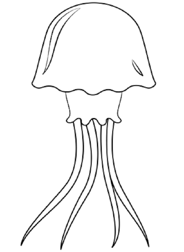 Graceful Jellyfish Coloring Pages Printable 17