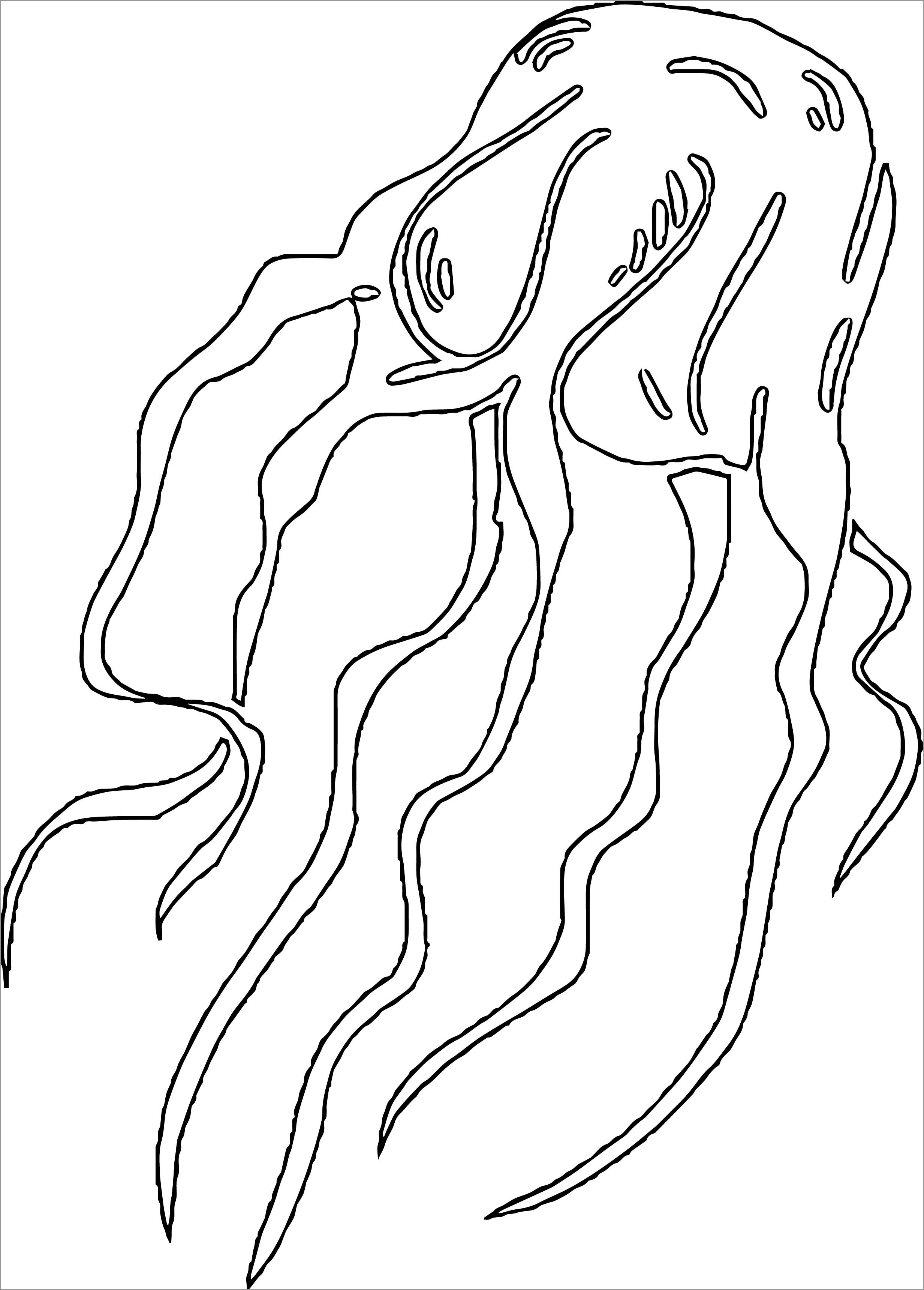 Graceful Jellyfish Coloring Pages Printable 18