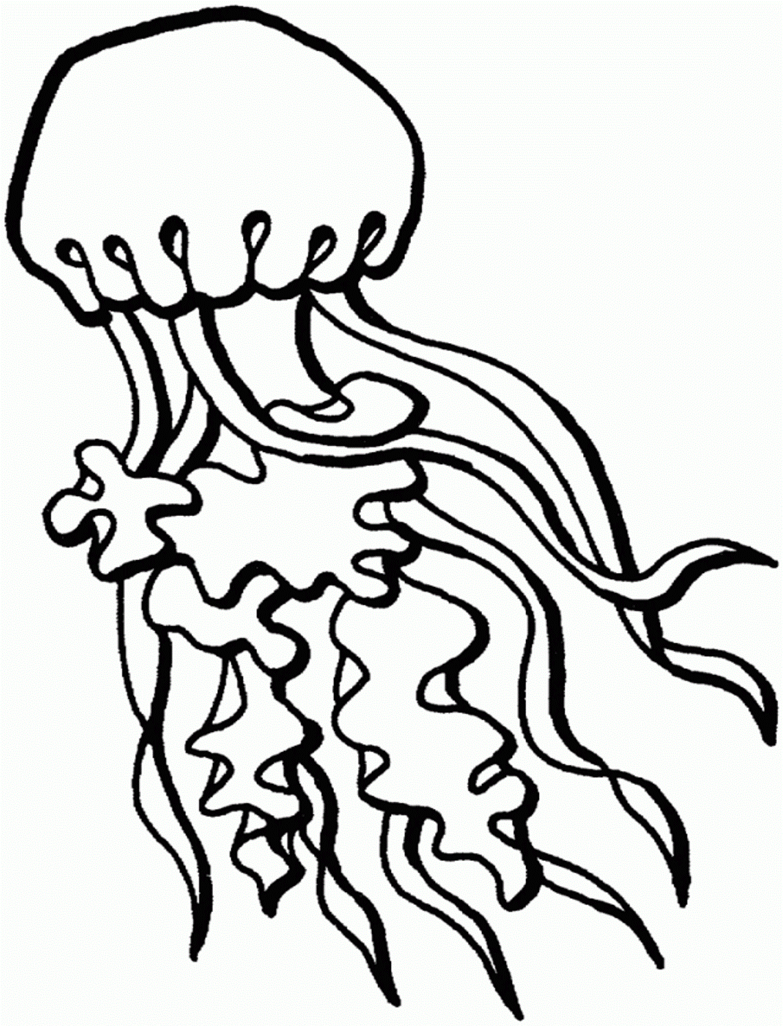 Graceful Jellyfish Coloring Pages Printable 2