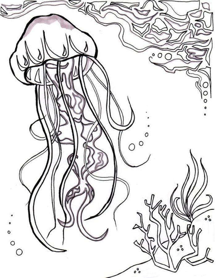 Graceful Jellyfish Coloring Pages Printable 26