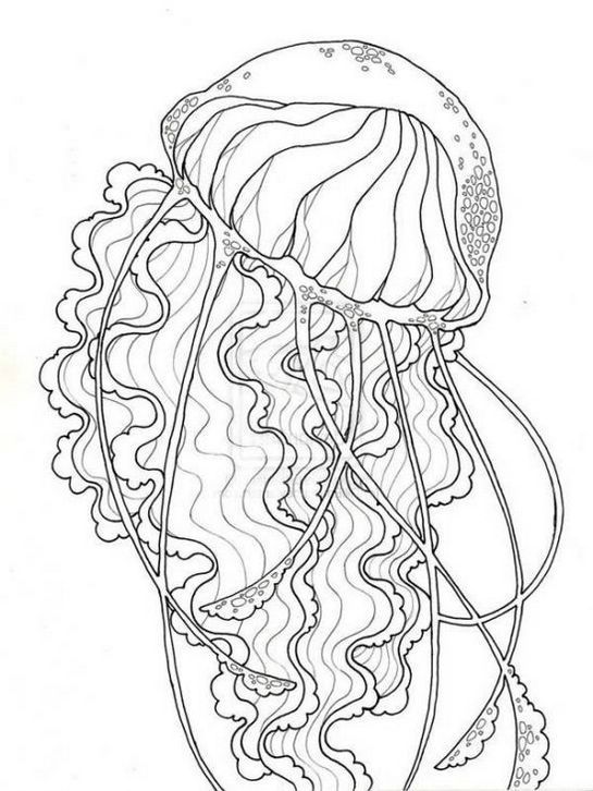 Graceful Jellyfish Coloring Pages Printable 31