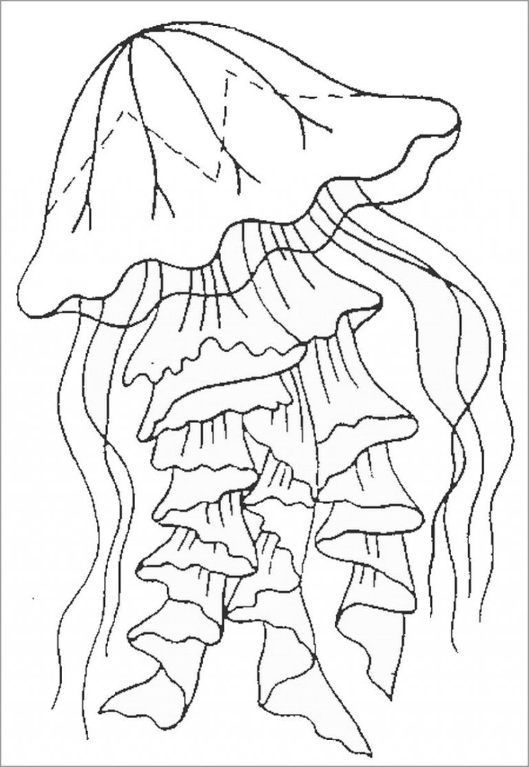 Graceful Jellyfish Coloring Pages Printable 4