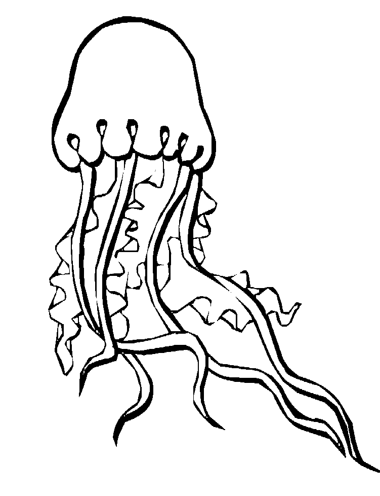 Graceful Jellyfish Coloring Pages Printable 5