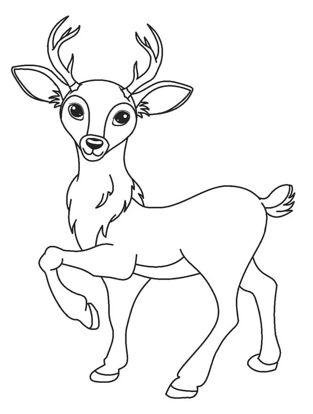 Lovely Deer Coloring Pages Printable 1