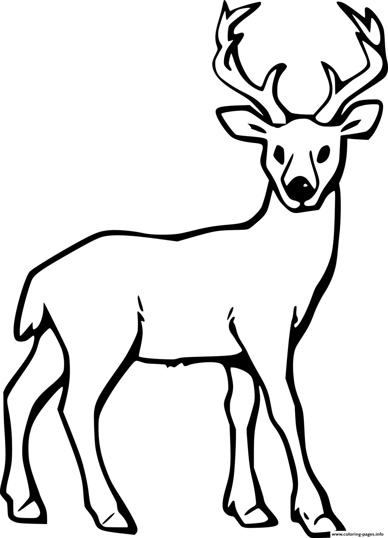 Lovely Deer Coloring Pages Printable 2