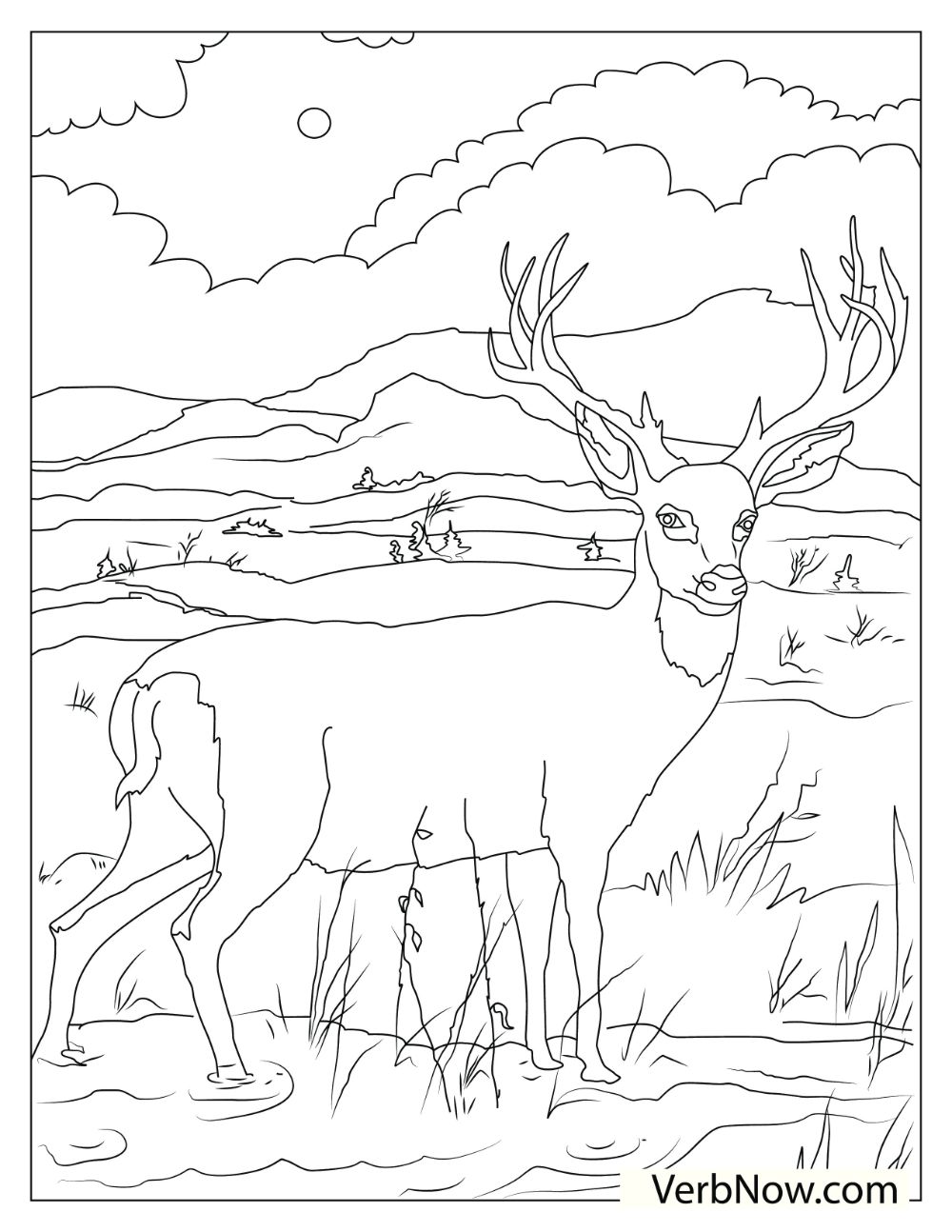 Lovely Deer Coloring Pages Printable 20