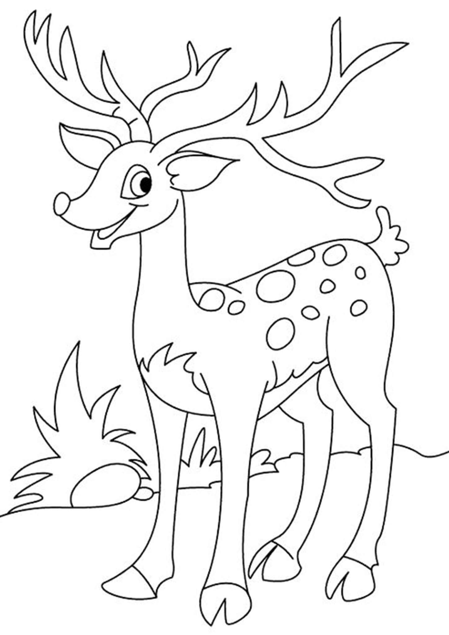 Lovely Deer Coloring Pages Printable 27