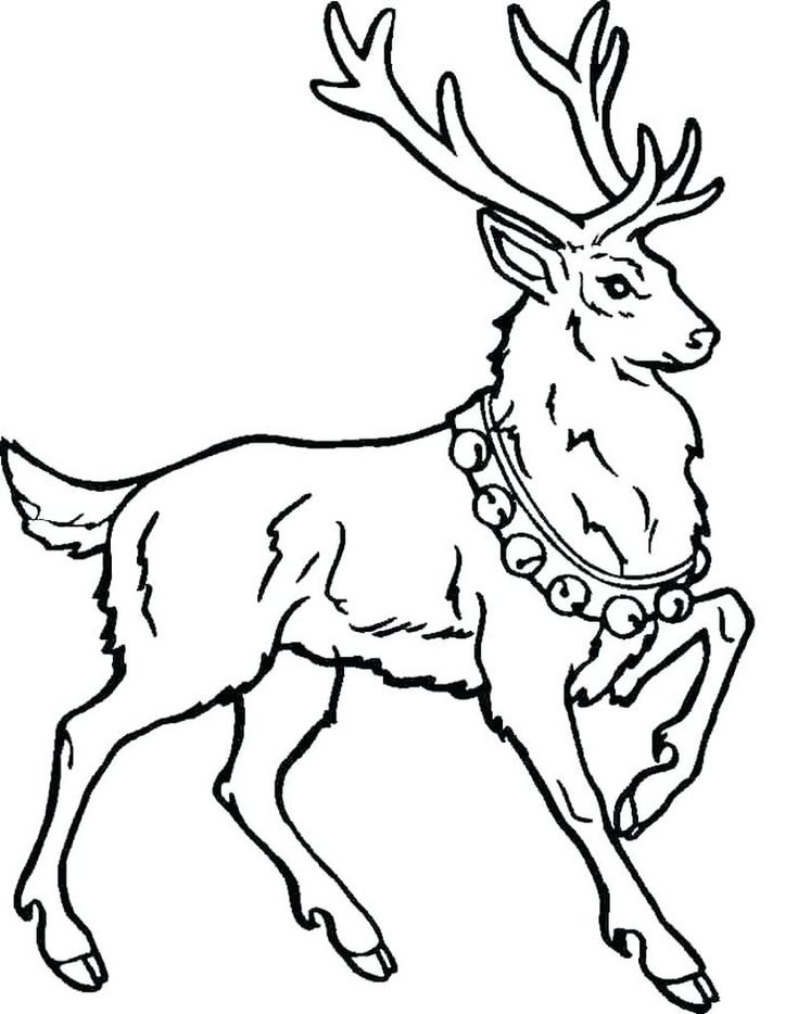 Lovely Deer Coloring Pages Printable 34