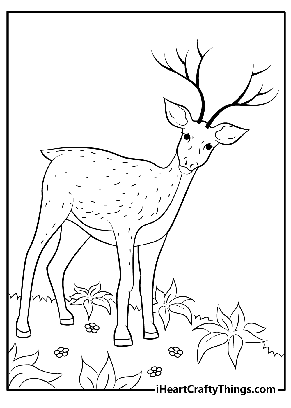 Lovely Deer Coloring Pages Printable 8