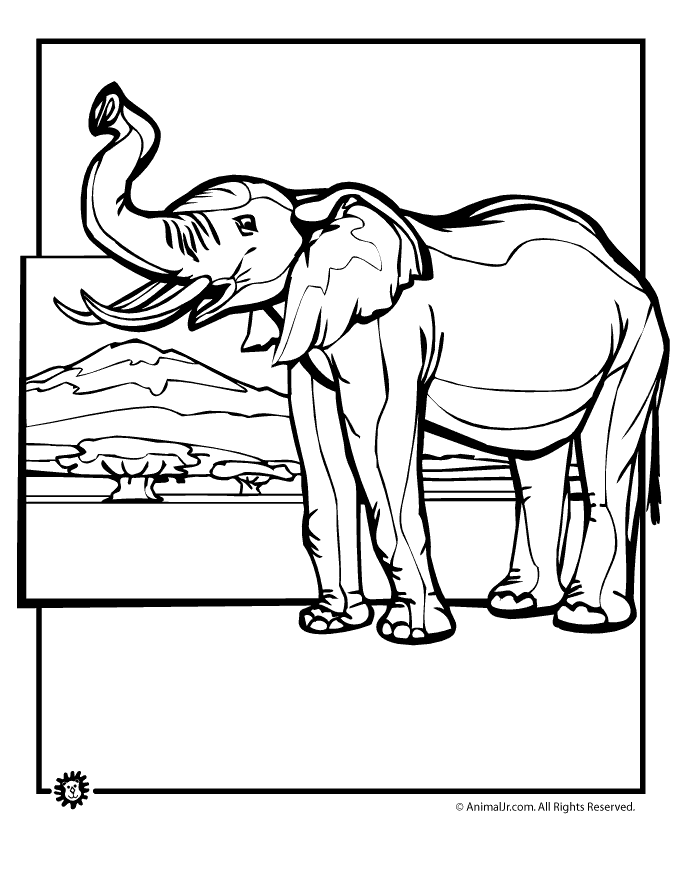 Majestic Elephant Coloring Pages Printable 13