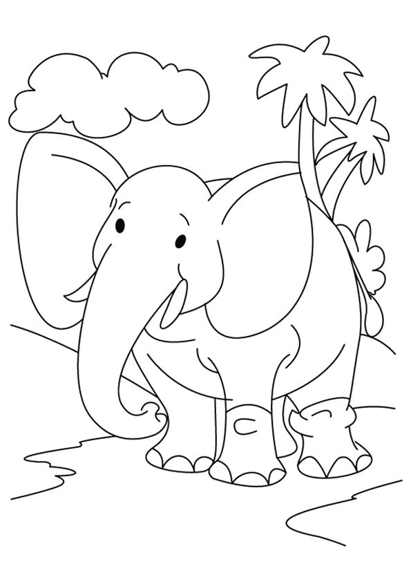 Majestic Elephant Coloring Pages Printable 2