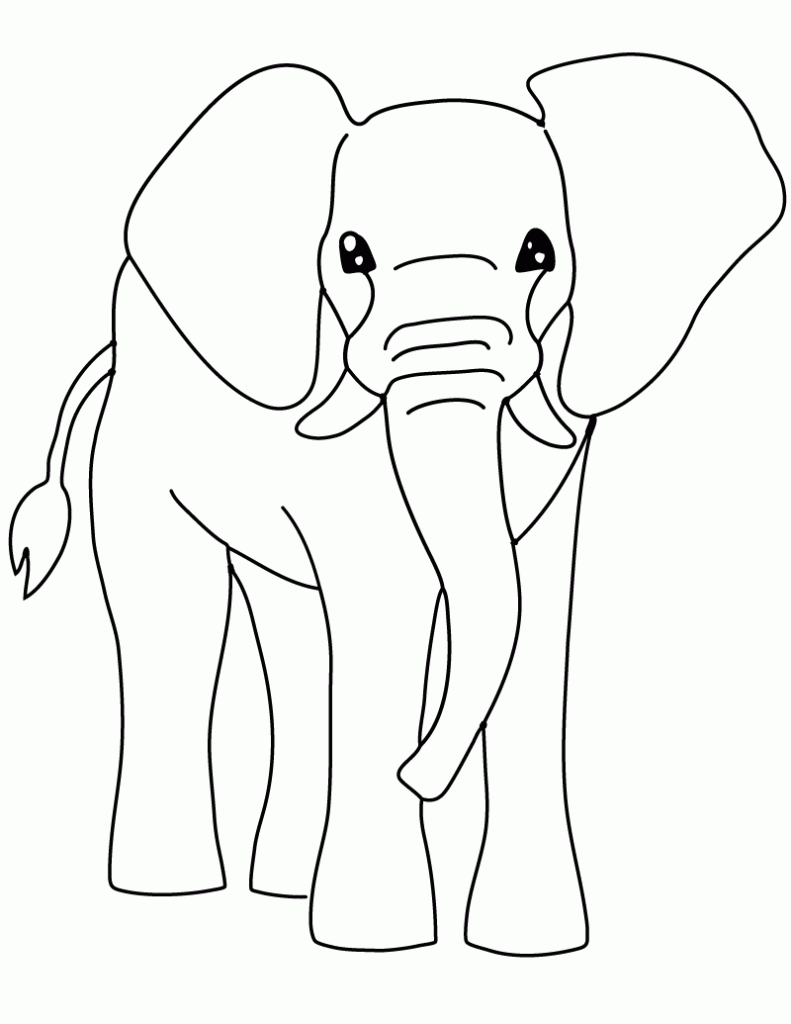 Majestic Elephant Coloring Pages Printable 30