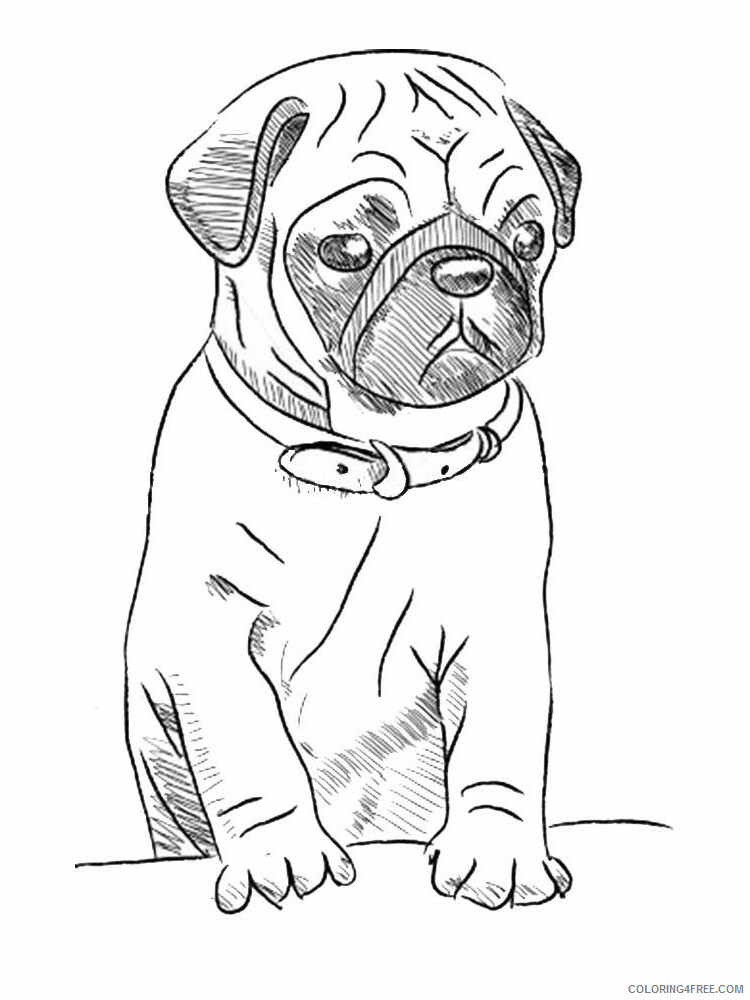 Playful Pug Coloring Pages Printable 11