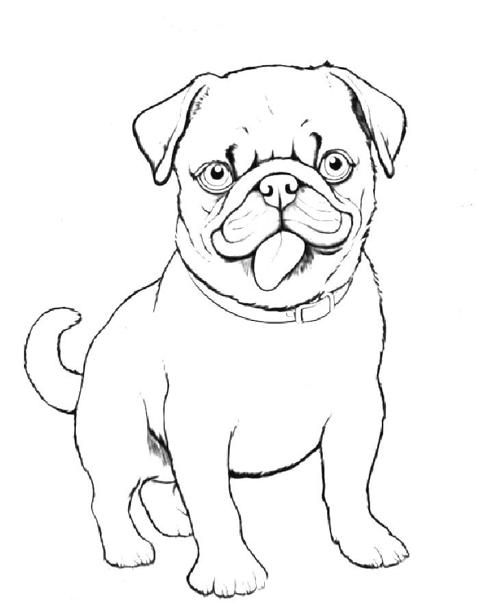 Playful Pug Coloring Pages Printable 15