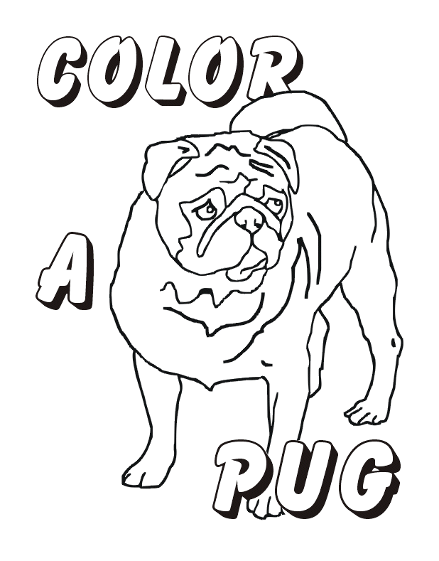 Playful Pug Coloring Pages Printable 18