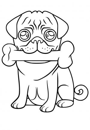 Playful Pug Coloring Pages Printable 19