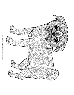 Playful Pug Coloring Pages Printable 34