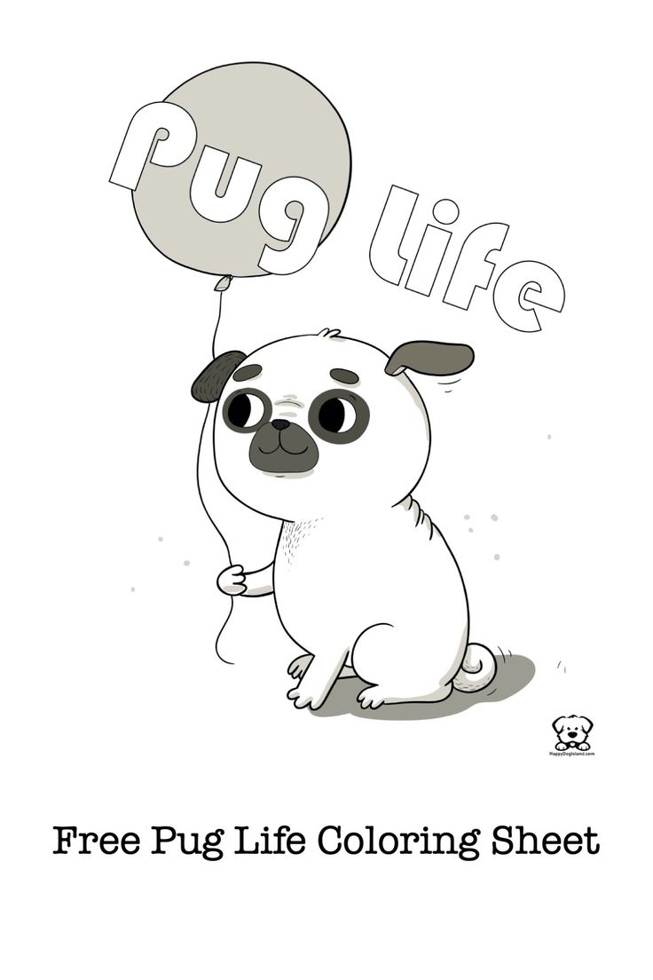 Playful Pug Coloring Pages Printable 5