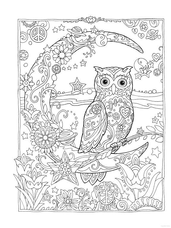 30 Free Printable Owl Coloring Pages for Adults 12