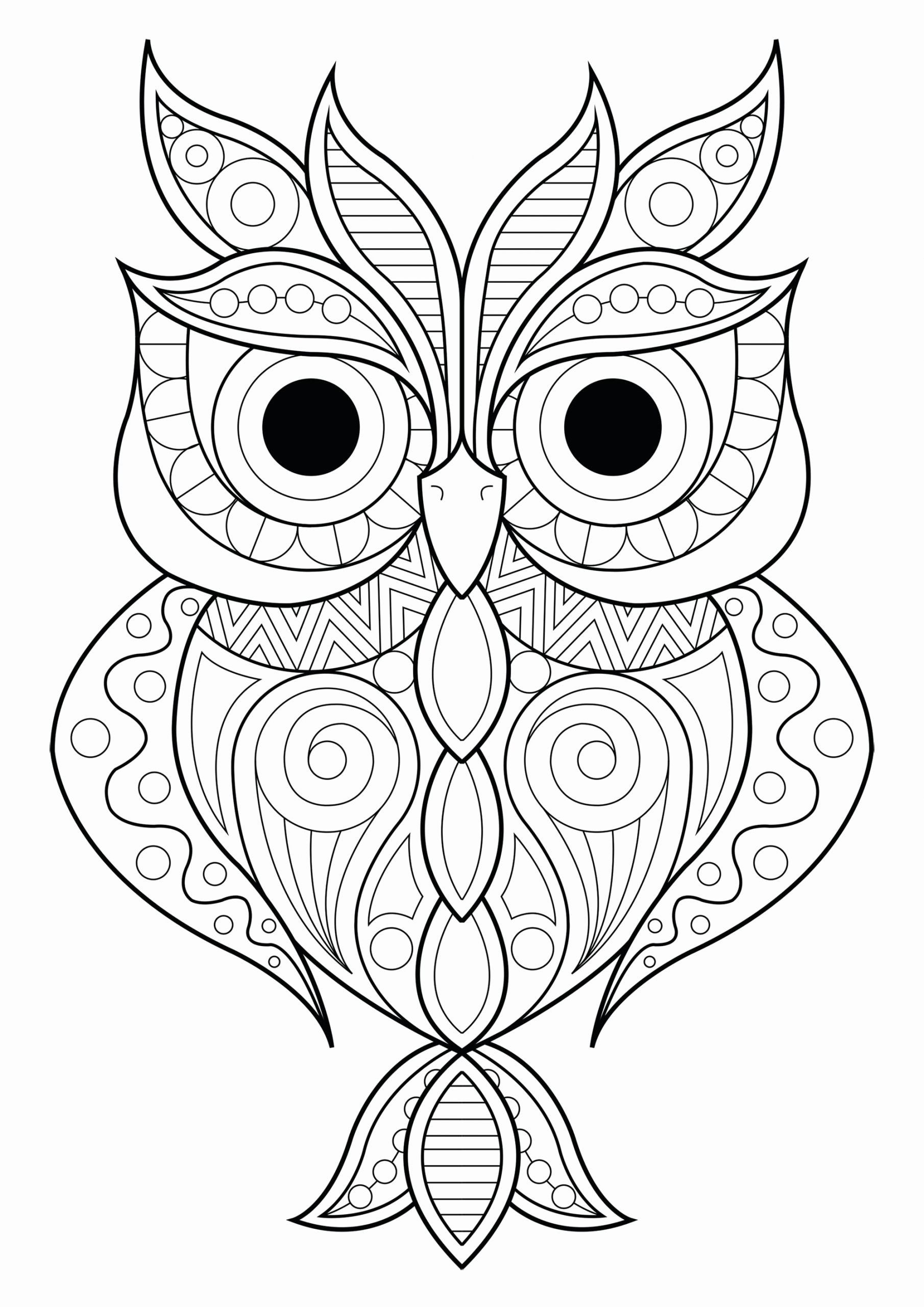 30 Free Printable Owl Coloring Pages for Adults 13