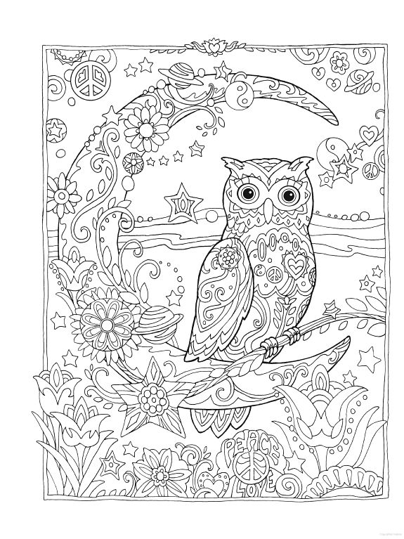 30 Free Printable Owl Coloring Pages for Adults 26