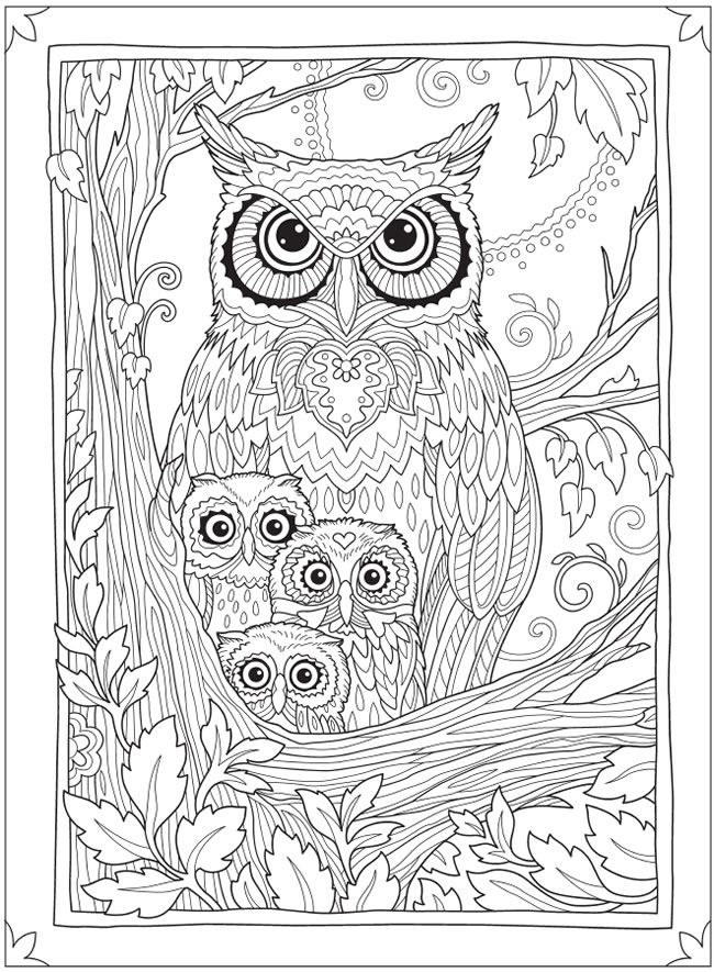 30 Free Printable Owl Coloring Pages for Adults 27