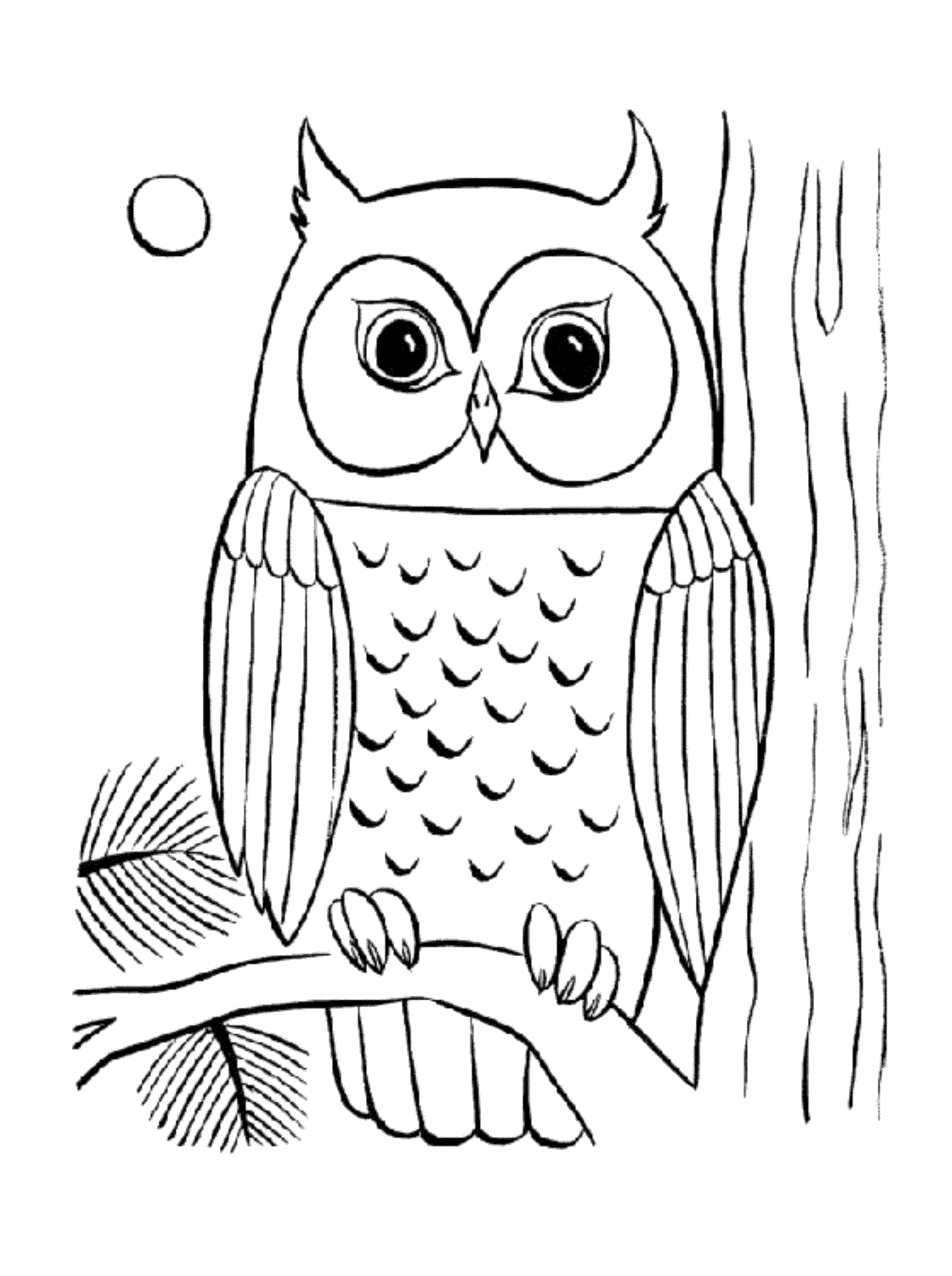 30 Free Printable Owl Coloring Pages for Adults 3