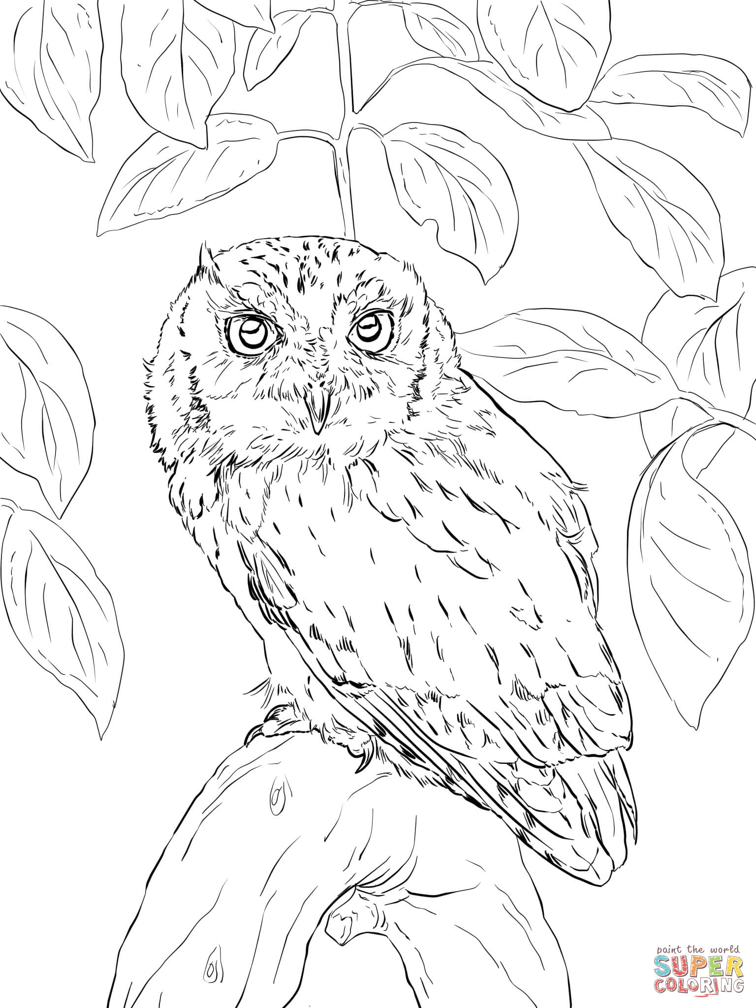 30 Free Printable Owl Coloring Pages for Adults 31