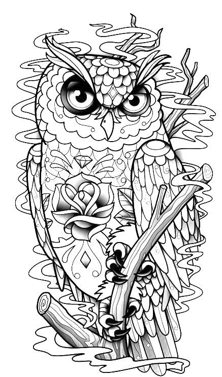 30 Free Printable Owl Coloring Pages for Adults 6