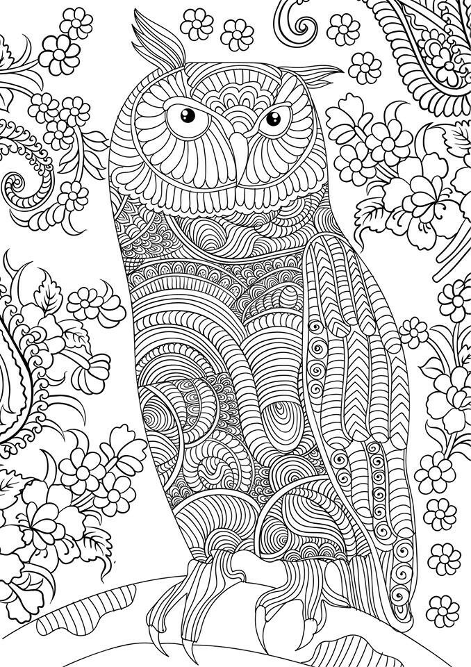 30 Free Printable Owl Coloring Pages for Adults 7