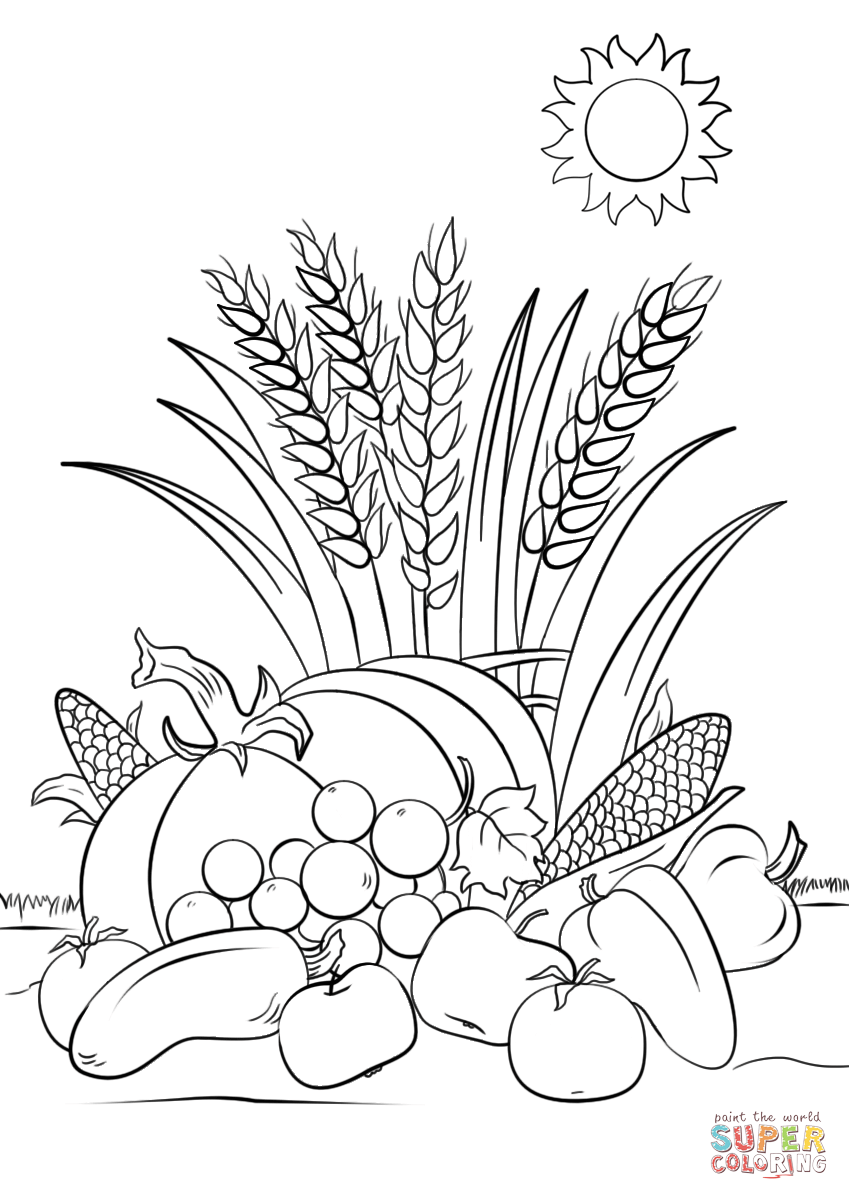 30 Harvest Coloring Pages Printable 1