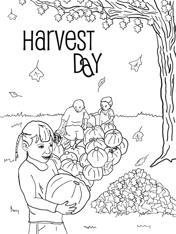 30 Harvest Coloring Pages Printable 2