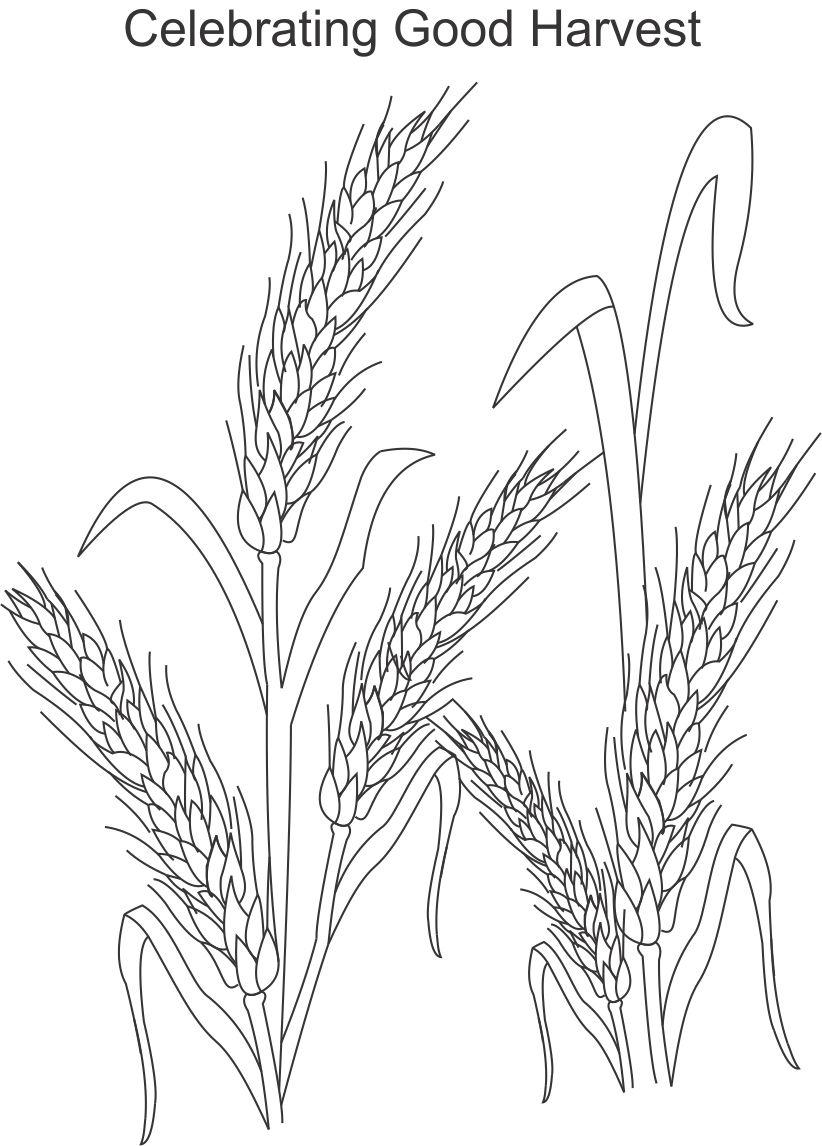 30 Harvest Coloring Pages Printable 21