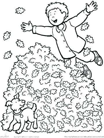 30 Harvest Coloring Pages Printable 23