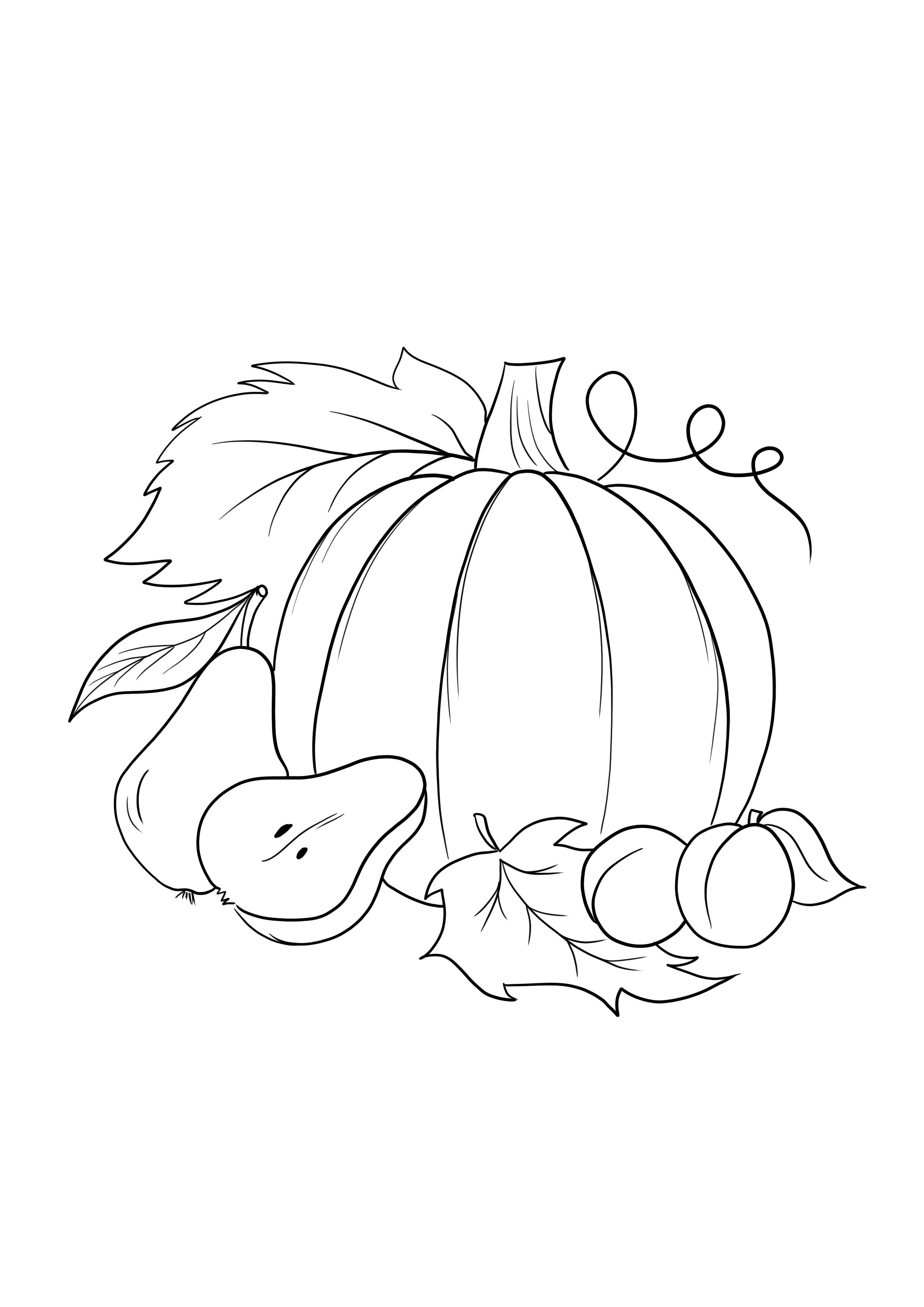 30 Harvest Coloring Pages Printable 28