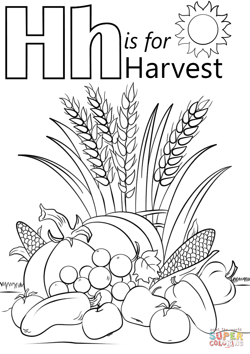 30 Harvest Coloring Pages Printable 31