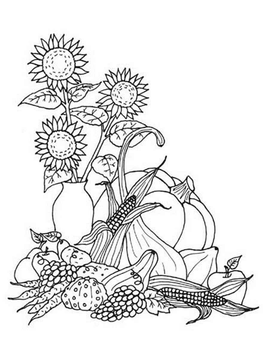 30 Harvest Coloring Pages Printable 4