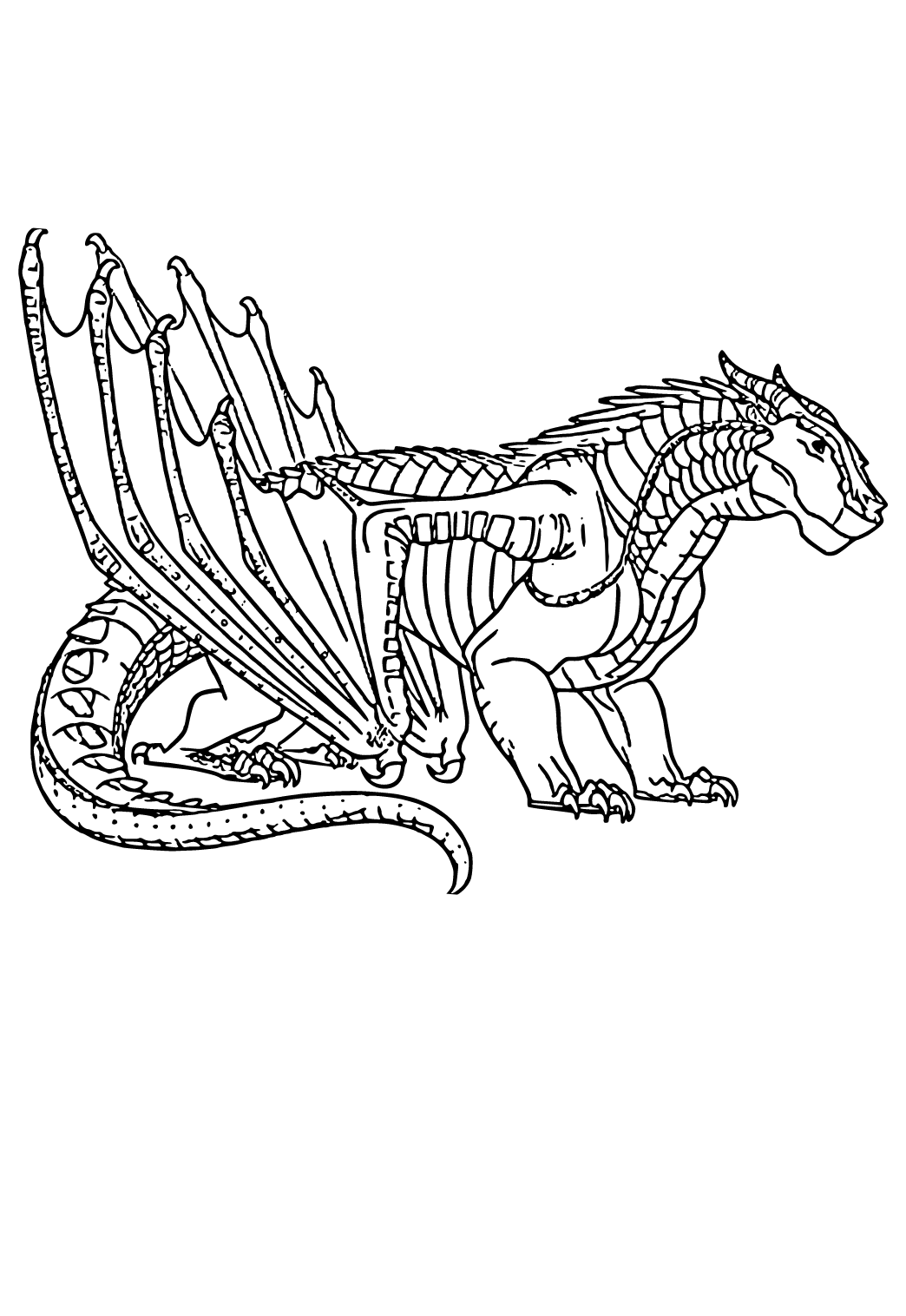 30 Icewing Dragon from Wings of Fire Coloring Page Printable 16