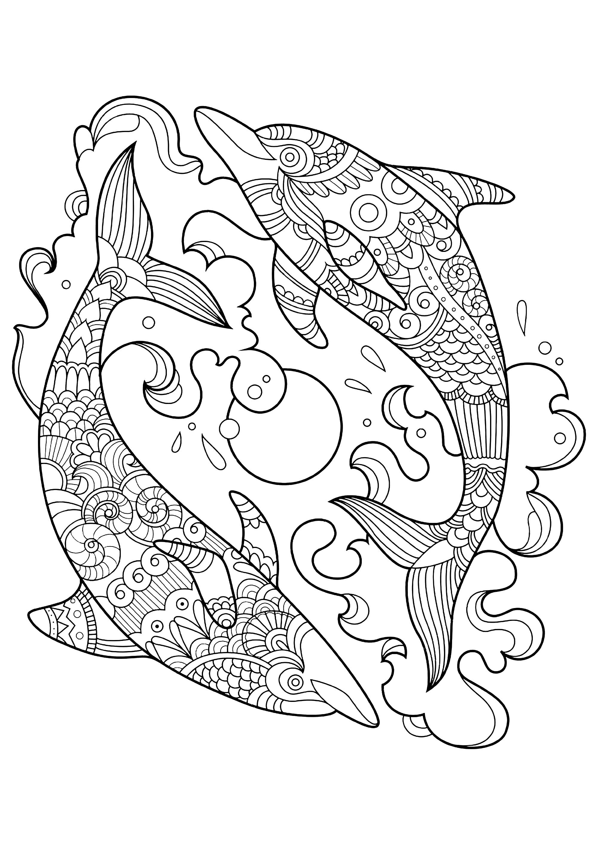 30 Playful Dolphins Coloring Pages Printable 12