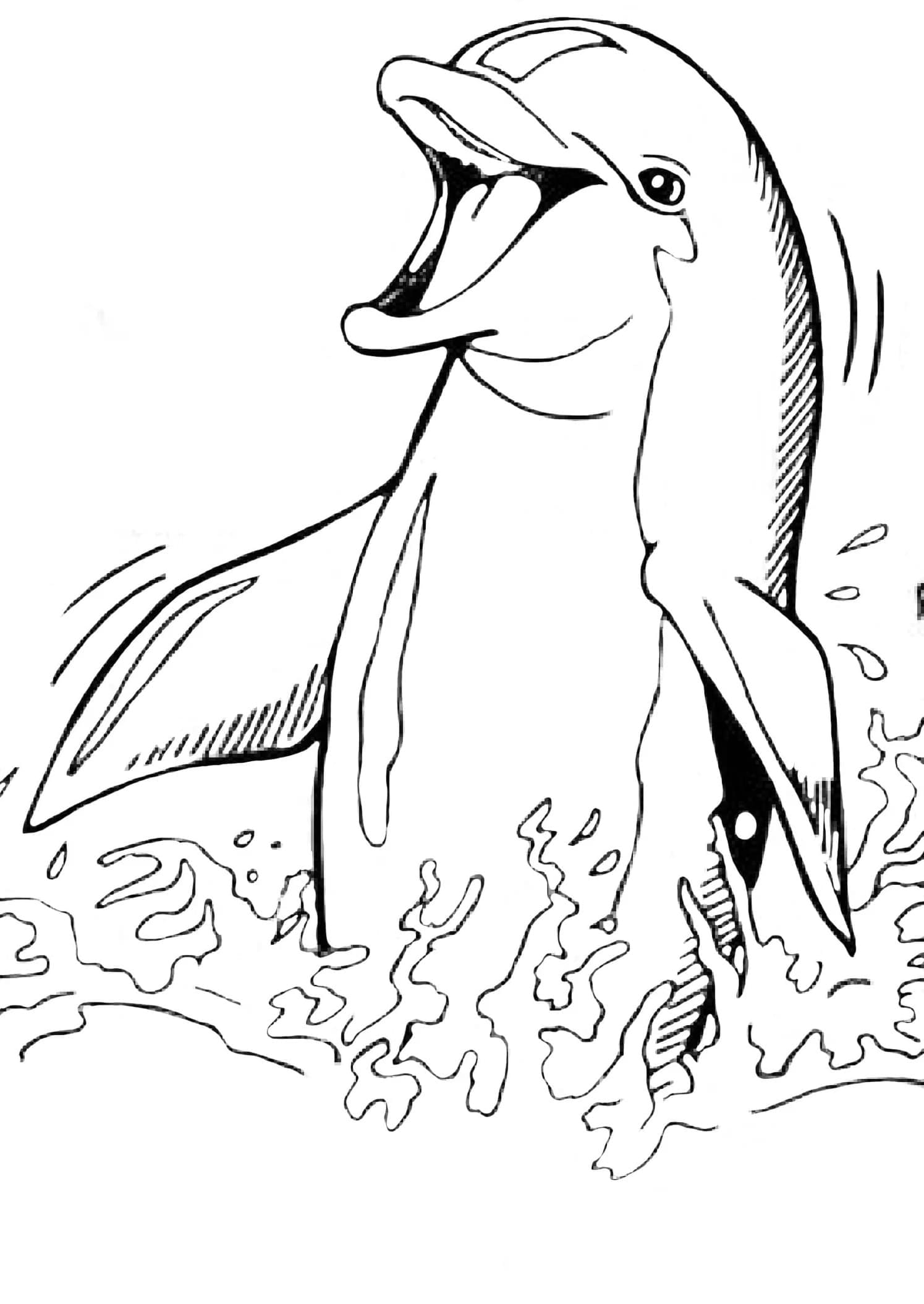 30 Playful Dolphins Coloring Pages Printable 16