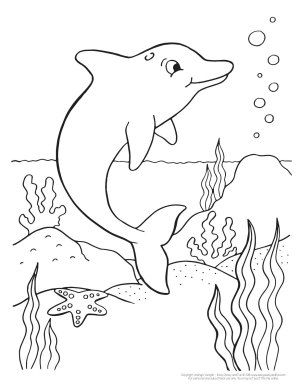 30 Playful Dolphins Coloring Pages Printable 17