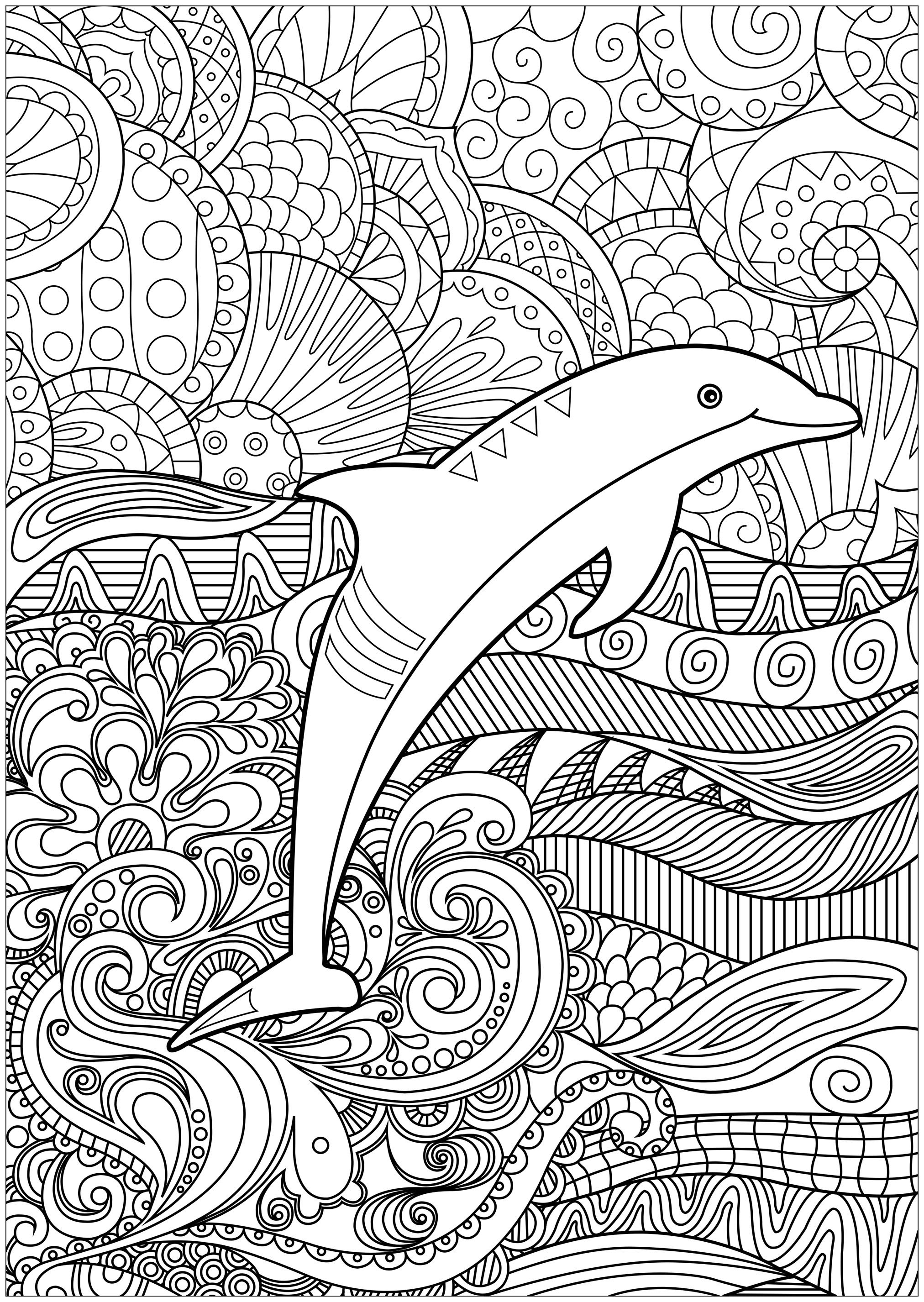 30 Playful Dolphins Coloring Pages Printable 19