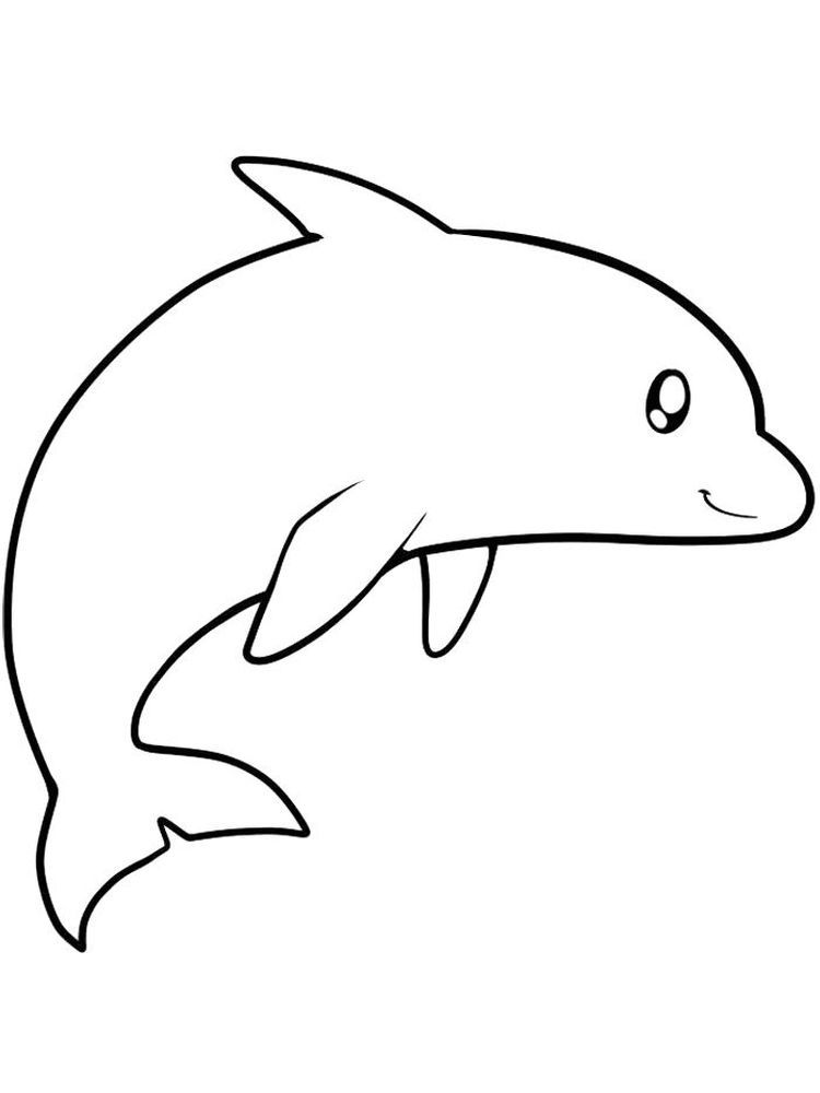 30 Playful Dolphins Coloring Pages Printable 21