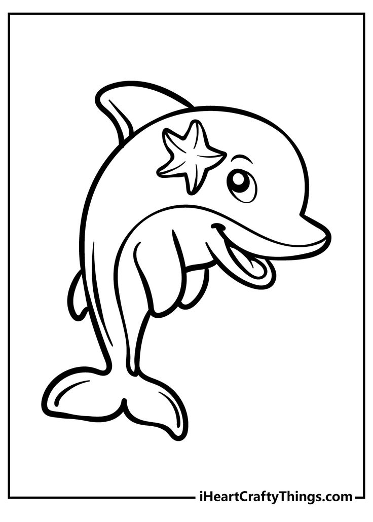 30 Playful Dolphins Coloring Pages Printable 3