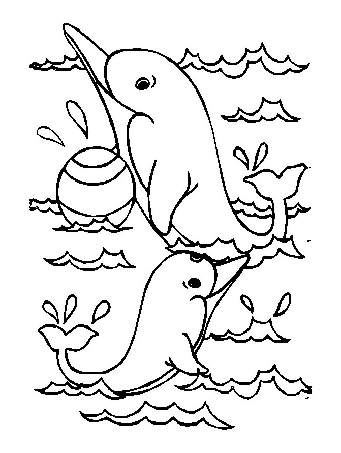 30 Playful Dolphins Coloring Pages Printable 31