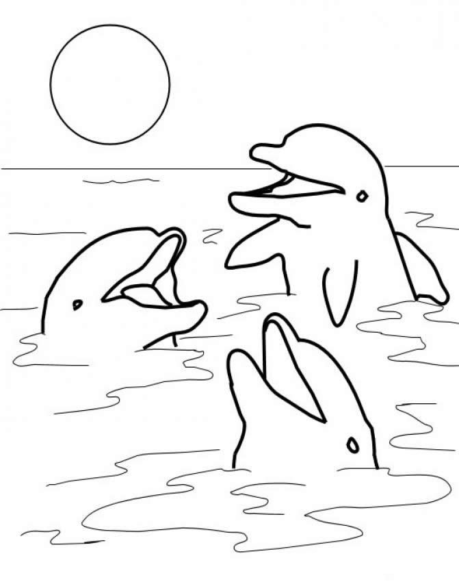 30 Playful Dolphins Coloring Pages Printable 32