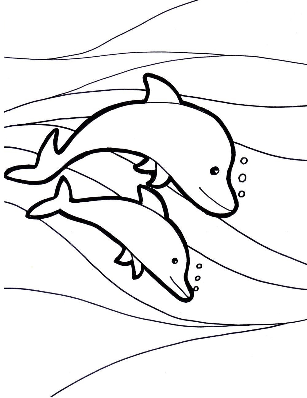 30 Playful Dolphins Coloring Pages Printable 35